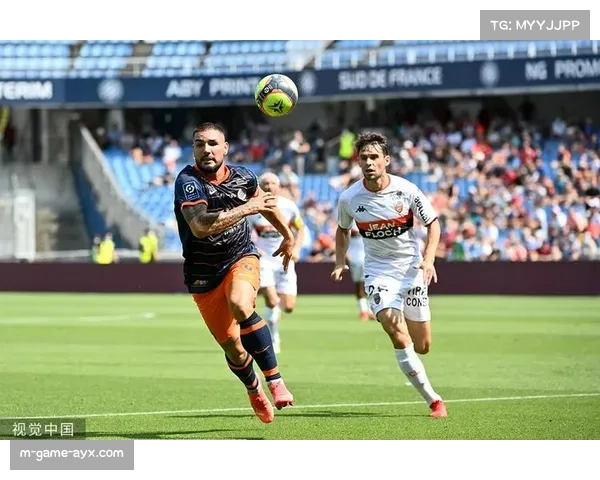 南特布列塔尼地区代表属性明确 与雷恩洛里昂形成地域互助团